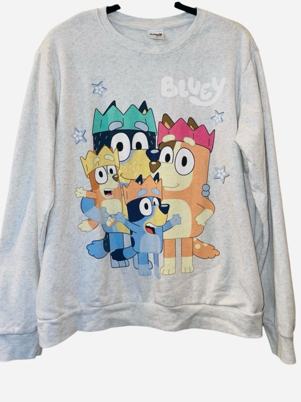BLUEY Disney Women’s Gray Pullover Sweatshirt Cartoons Size: Large
